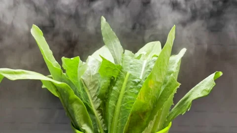 Vegetables in the restaurant freezer Stock Footage 155961515