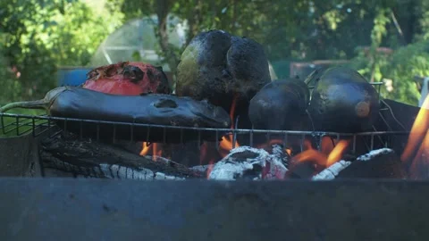 Vegetables roasted on coals Stock Footage 270090111
