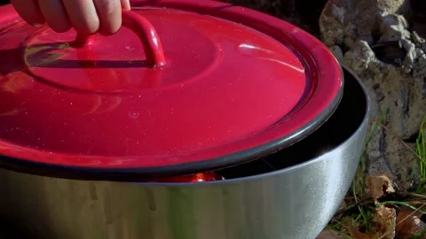 Vegetables Roasting On a Grill Stock Footage 166447351
