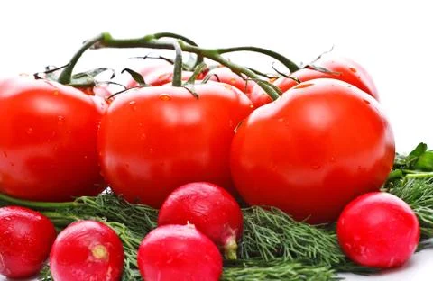 Vegetables for salad Stock Photos