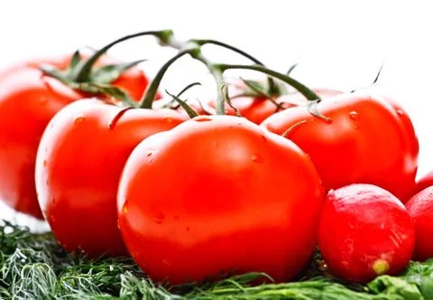 Vegetables for salad Stock Photos