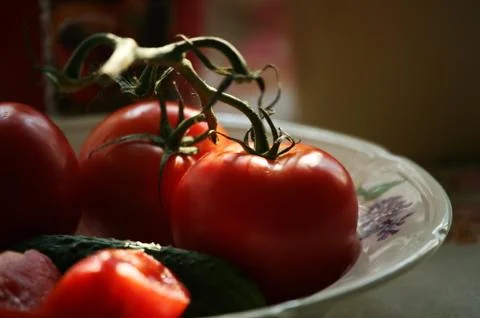 Vegetables for salad Stock Photos