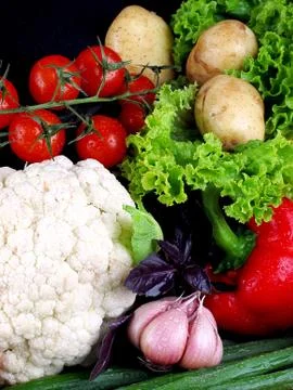 Vegetables for the salads Stock Photos