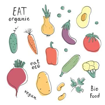 Vegetables seamless pattern. Vegetarian healthy bio food background, Vegan or Illustrazione stock