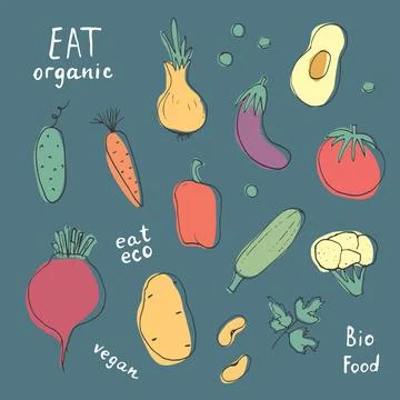 Vegetables seamless pattern. Vegetarian healthy bio food background, Vegan or 스톡 일러스트