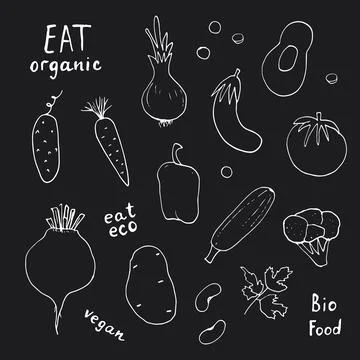 Vegetables seamless pattern. Vegetarian healthy bio food background, Vegan or 스톡 일러스트