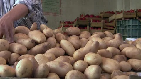 Vegetables seller Stock Footage 9350501