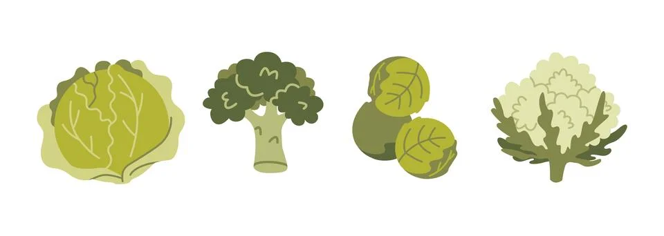 Vegetables set with Cabbage, Broccoli, Brussels sprouts, and Cauliflower. M.. Illustrazione stock
