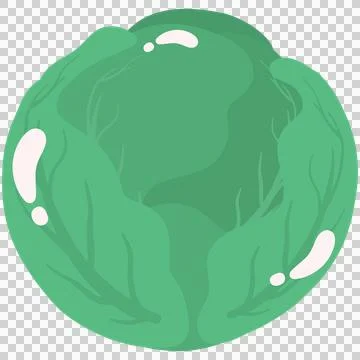 Vegetables set cabbage leaf green head fresh food round vegetable isolated .. Stock Illustration