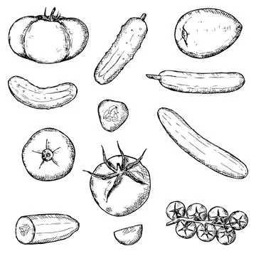 Vegetables set. Cucumbers and tomatoes. Vector illustration. Isolated on white. Stock Illustration