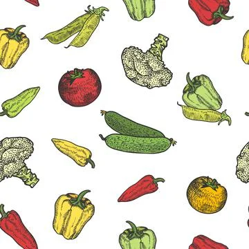 Vegetables set hand drawn background seamless pattern. Vintage background Stock Illustration