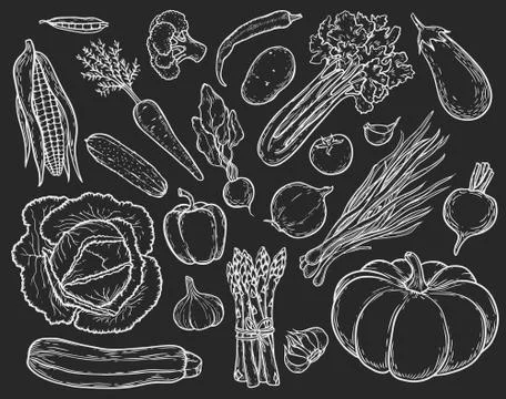 Vegetables set Stock Illustration
