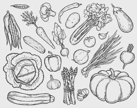 Vegetables set Stock Illustration