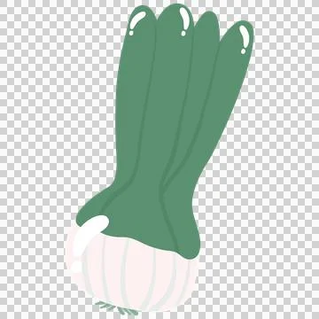 Vegetables set onion scallion green white bulb leaves fresh food, clean ill.. Stock Illustration