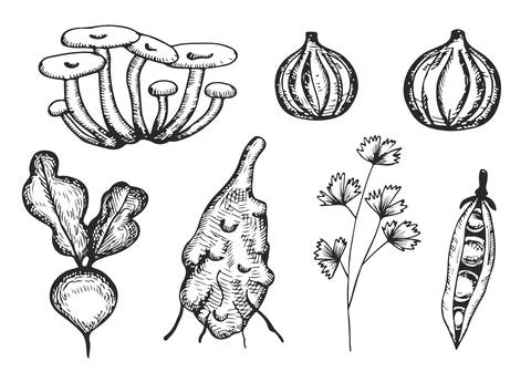Vegetables set sketch silhouettes vector Stock Illustration