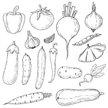 Vegetables set. Vector cartoon illusrations. Isolated objects on white. Stock Illustration