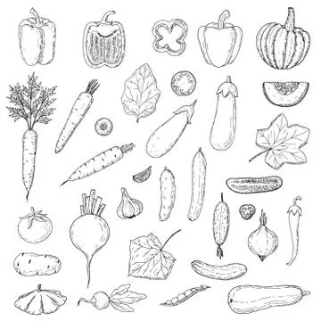 Vegetables set. Vector cartoon illustrations of veggies. Isolated on white. Stock Illustration