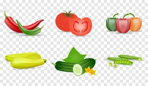 Vegetables Set Vector Illustration. Tomato, green cucumbers, peppers, zukini and Stock Illustration