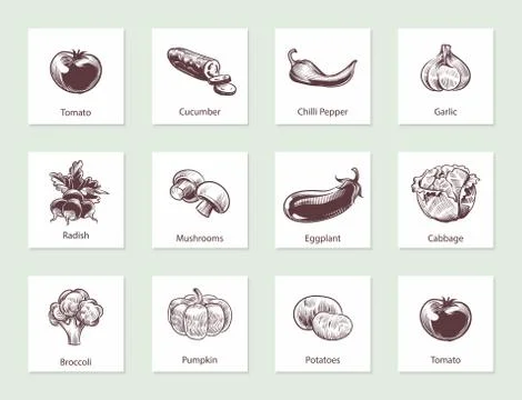 Vegetables slide set. Templates for label design with hand drawn linear Stock Illustration