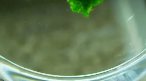 Vegetables in slow motion Stock Footage 8991593