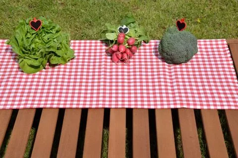 Vegetables in spring time Stock Photos