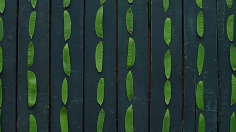 Vegetables Stop Motion Animation Featuring Fresh Green Snow Peas in Rows 库存影片 331101392