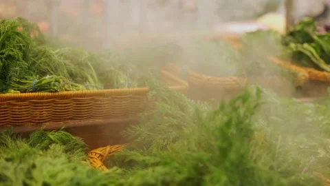 Vegetables in the store on the counter with a humidifier Stock Footage 168412865