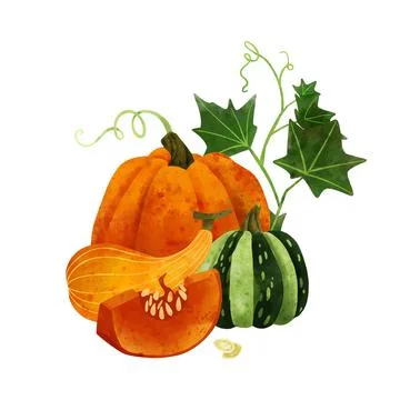 Vegetables, Summer harvest composition, hand drawn vector Stock Illustration