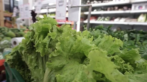 Vegetables in supermaraket Stock Footage 102083593