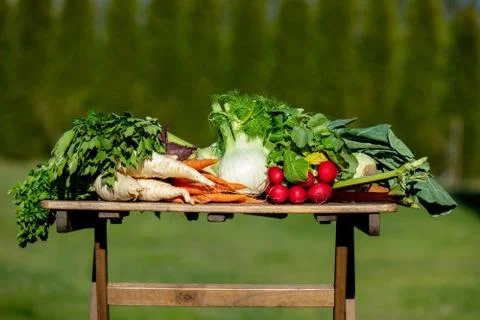 Vegetables on a table at countryside Stock Photos