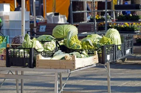 Vegetables on the table of the market Stock Photos