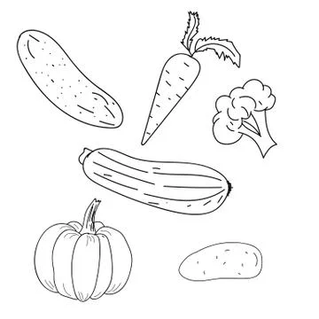Vegetables. Vector outline illustration. Hand drawing Stock-Illustration