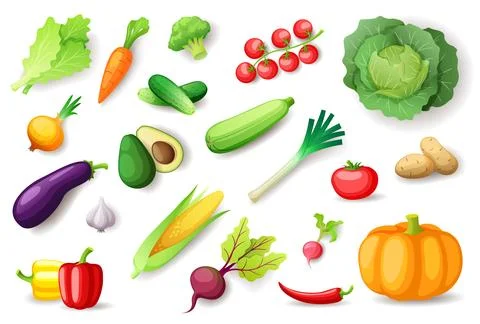 Vegetables vector set isolated. Fresh organic vegetables collection with tomato Stock Illustration