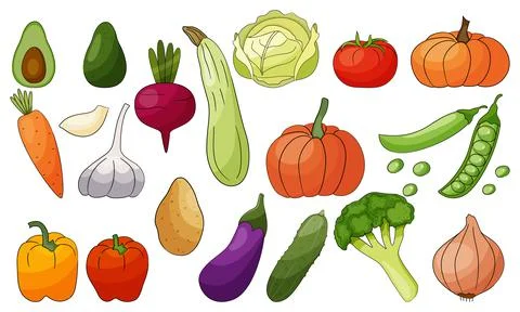 Vegetables vector set isolated on white background. Nature illustration. Stock Illustration