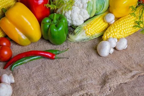 Vegetables, vegetables on the table. corn, cauliflower, tomatoes, champignons Stock Photos