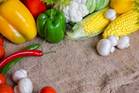 Vegetables, vegetables on the table. corn, cauliflower, tomatoes, champignons Stock Photos