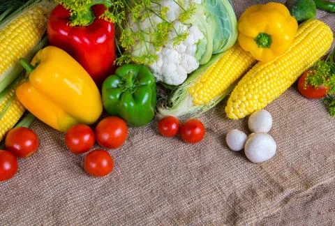 Vegetables, vegetables on the table. corn, cauliflower, tomatoes, champignons Stock Photos