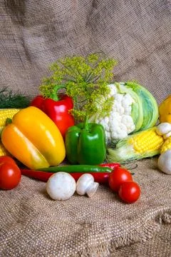 Vegetables, vegetables on the table. corn, cauliflower, tomatoes, champignons Stock Photos