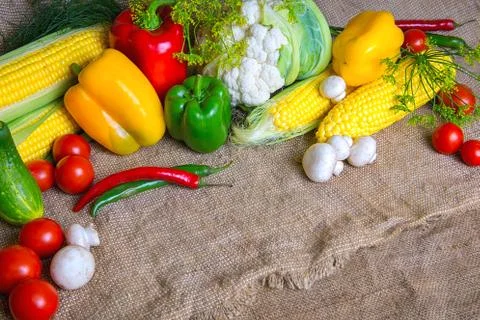 Vegetables, vegetables on the table. corn, cauliflower, tomatoes, champignons Stock Photos