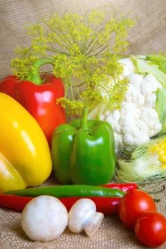 Vegetables, vegetables on the table. corn, cauliflower, tomatoes, champignons Stock Photos