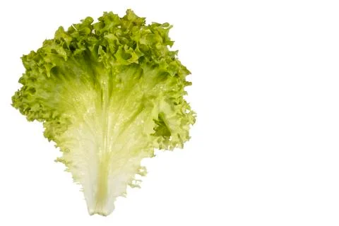 Vegetables on white background Stock Photos