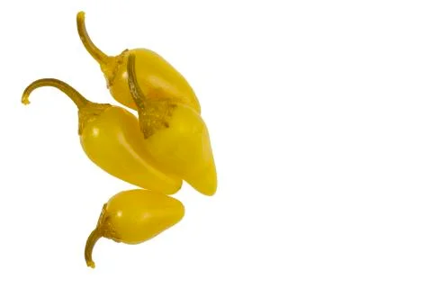 Vegetables on white background Stock Photos