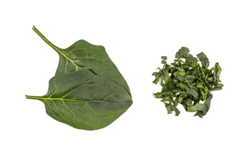 Vegetables on white background Stock Photos