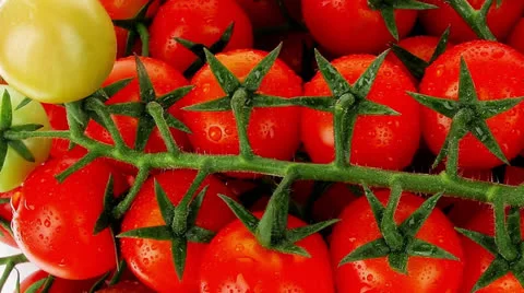 Vegetables on white plate Vídeos de archivo 25180125