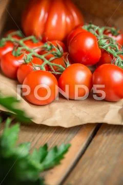 Vegetables on wood background Stock Photos