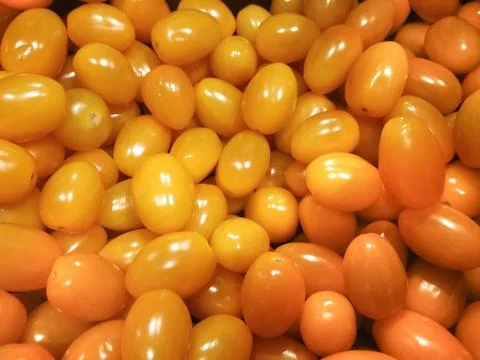 Vegetables - yellow tomatoes Stock Photos