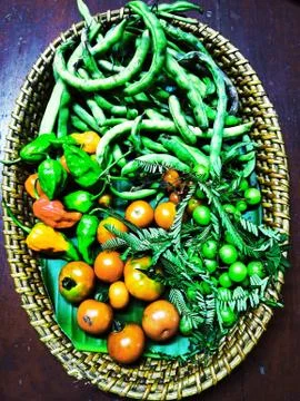 Vegetables1 Foto stock