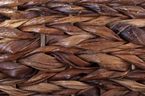 Vegetal texture, background Stock Photos