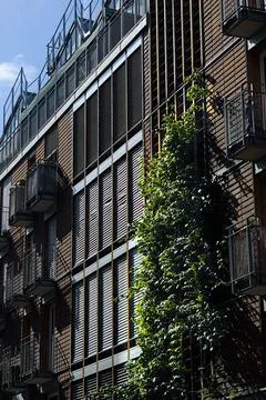 Vegetal wall in Paris Stock Photos