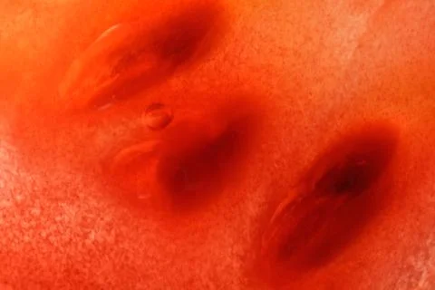 Vegetarian abstract background. Stock Photos
